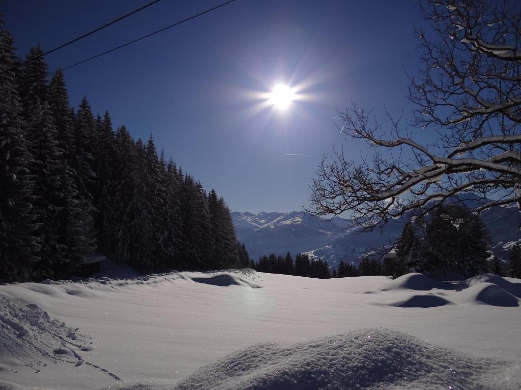 Das Sonnleiten Ski- Und Motorradhotel Bruck Im Zillertal Bruck am Ziller Eksteriør bilde
